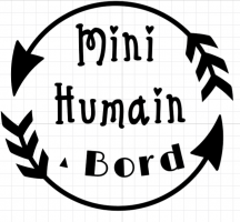 mini_humain_a_bord