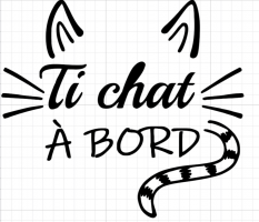 ti_chat_a_bord