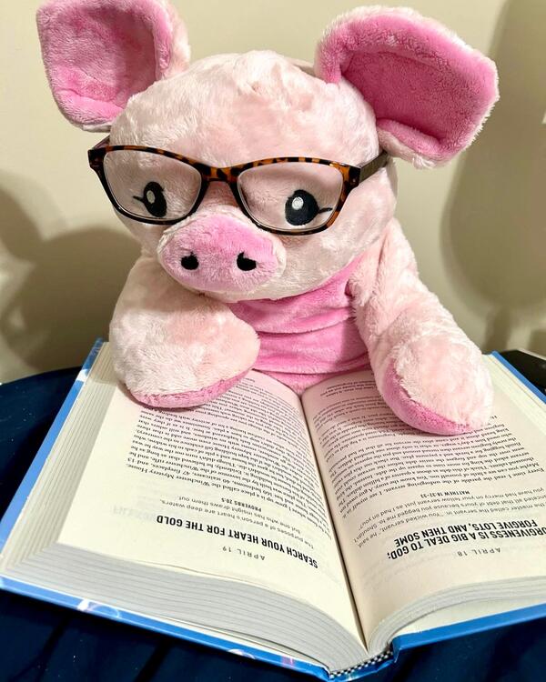 HUGIMALS | Harper le Cochon