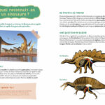 AUZOU | Mon Coffret d'Artiste - Mes dinosaures à construire