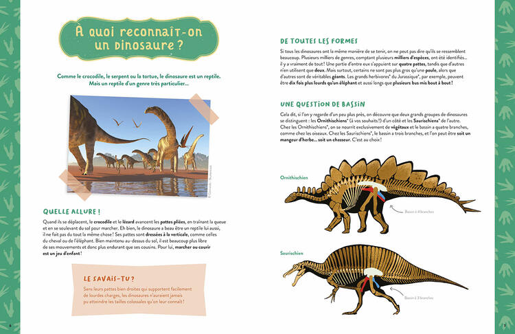 AUZOU | Mon Coffret d'Artiste - Mes dinosaures à construire
