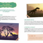 AUZOU | Mon Coffret d'Artiste - Mes dinosaures à construire