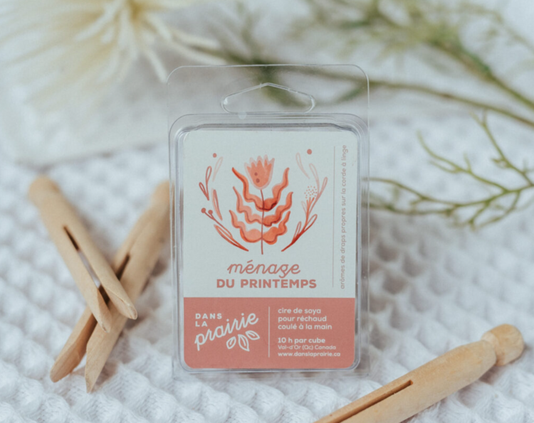 DANS LA PRAIRIE | Cubes de Cire - Ménage du printemps