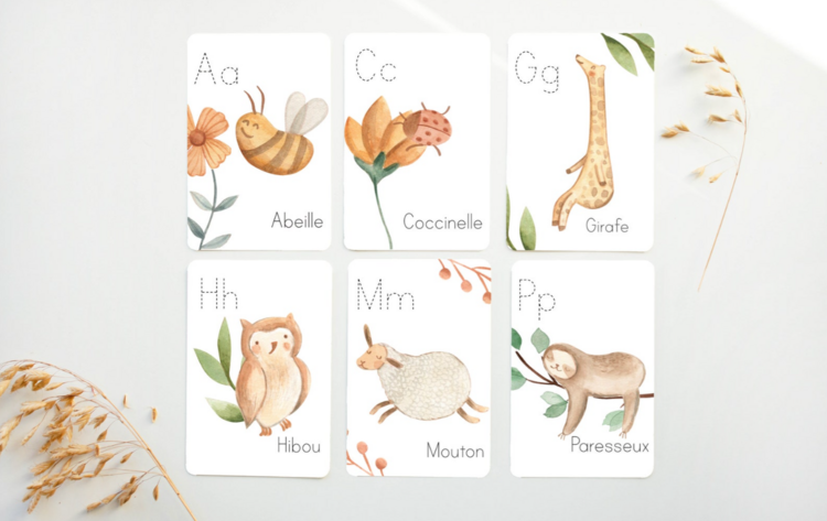 RAINBOWS & LOLLIPOP | Cartes d’Apprentissage - Alphabet de la nature