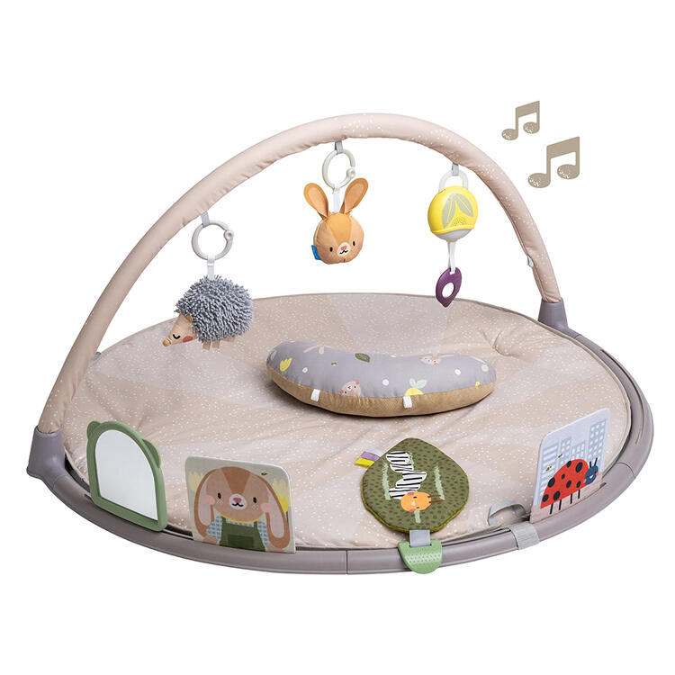 TAF TOYS | Gym Ventral d'Activités