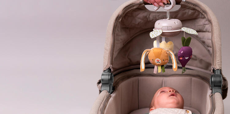 TAF TOYS | Mobile de Jardin à Emporter