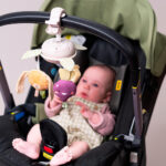 TAF TOYS | Mobile de Jardin à Emporter
