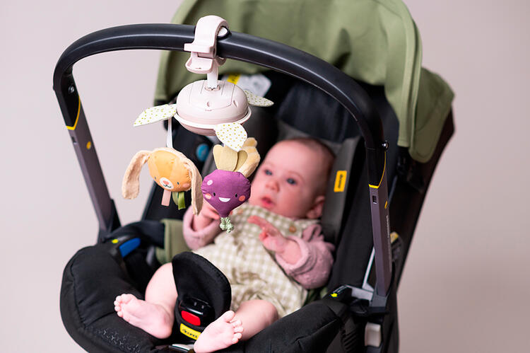 TAF TOYS | Mobile de Jardin à Emporter