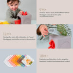 TAF TOYS | Boîte à Mouchoirs Pop-up