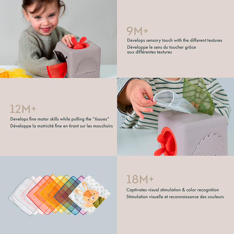 TAF TOYS | Boîte à Mouchoirs Pop-up
