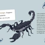 AUZOU | Mes Insectes à Déterrer