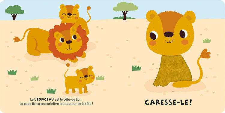 AUZOU | Coffret à Toucher - Les Bébés Animaux