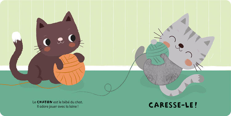 AUZOU | Coffret à Toucher - Les Bébés Animaux