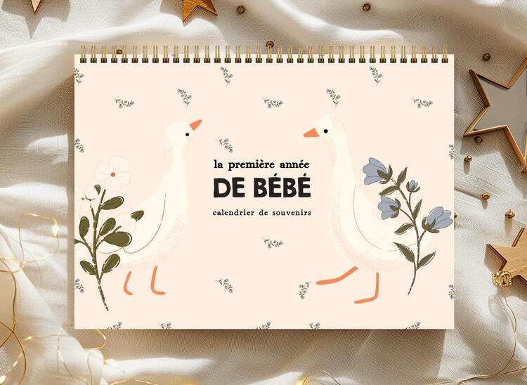 RAINBOWS & LOLLIPOPS | Calendriers de la Première Année de Bébé – Petites oies