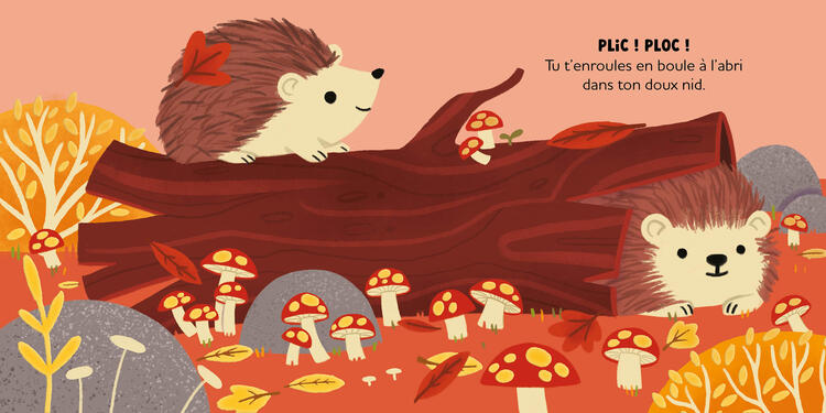 AUZOU | Histoires à Câliner - Au coeur de la forêt