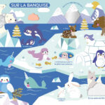 AUZOU | Mon très grand livre d'éveil - Les bébés animaux