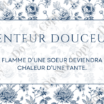 BEBE MEGHAN | Bougie de Cire de Soja - Futur tatie #35 - 8 oz