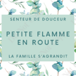 BEBE MEGHAN | Bougie de Cire de Soja - La famille s'agrandit #22 - 8 oz