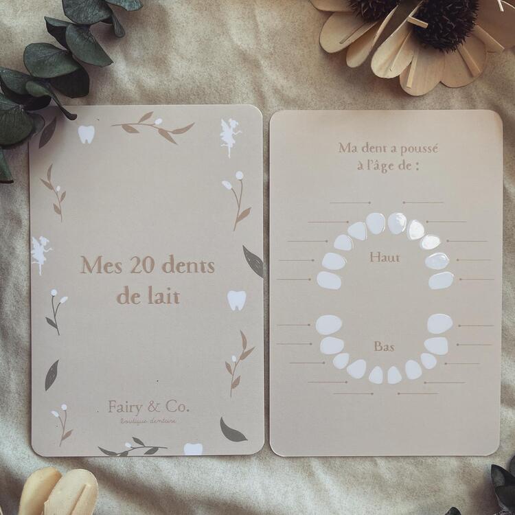 FAIRY & CO | Ma Carte d'Éruption de Dents de Lait