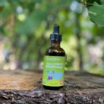 SOURIS VERTE | Échinacée - 50 ml