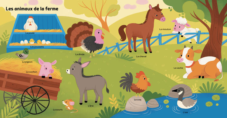 AUZOU | Mes 100 Mots - Pour découvrir les animaux