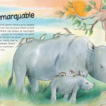 POMANGO | L'Incroyable Monde des Animaux
