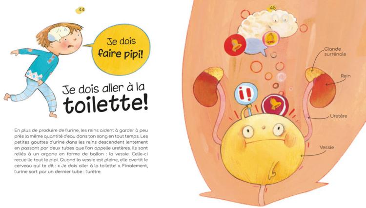 POMANGO | Les Miracles du Corps Humain