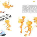 POMANGO | Les Miracles du Corps Humain