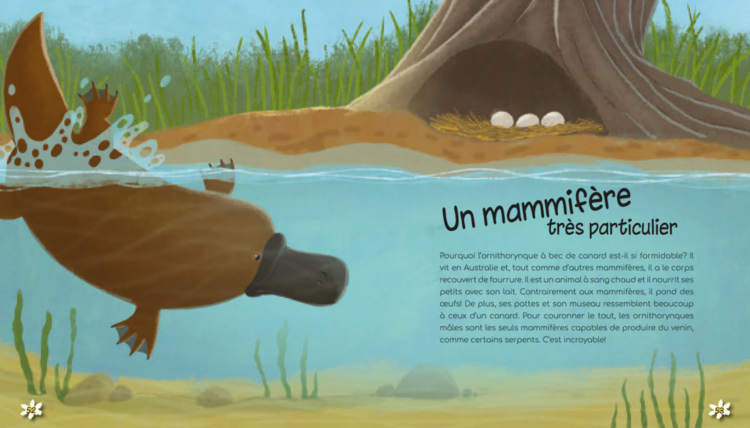 POMANGO | Les Merveilles de la Nature