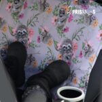 L'ATELIER DES 2 FRISÉES | Protège Siège de Voiture - Petits paresseux