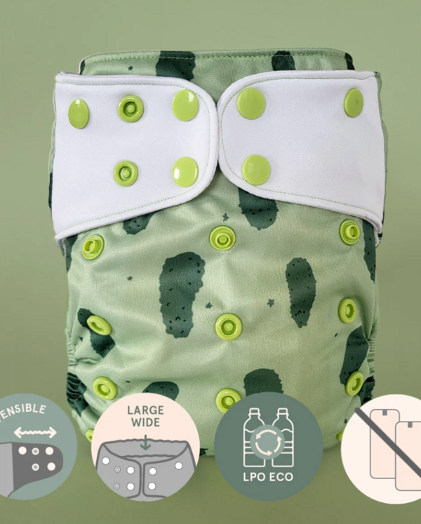 LA PETITE OURSE | Évolution - Couche à Poche - Cornichon