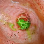 LA FABRIK | Bombe de Bain - Melon d'eau