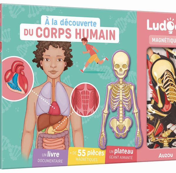AUZOU | A la découverte du corps humain