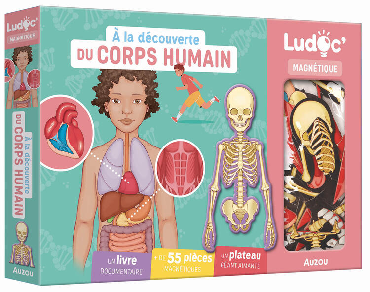 AUZOU | A la découverte du corps humain