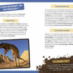 AUZOU | A la découverte des dinosaures