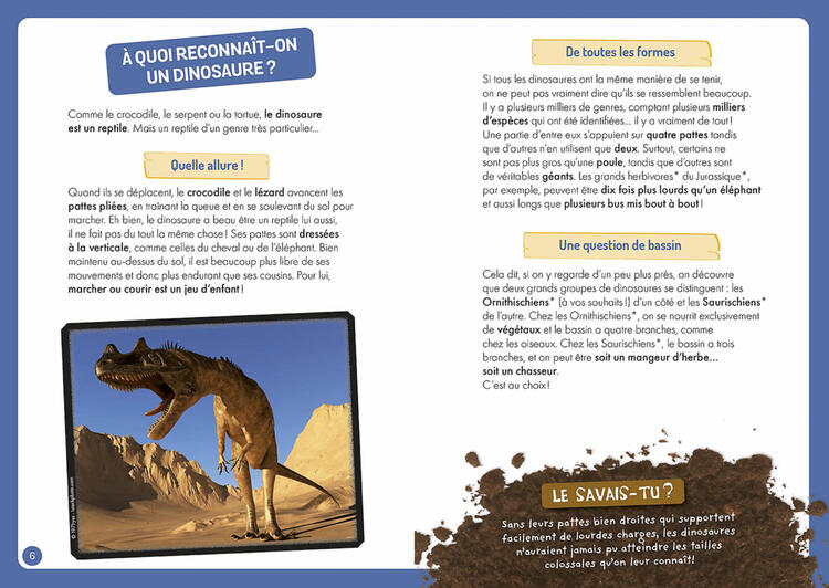 AUZOU | A la découverte des dinosaures