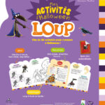 AUZOU | Loup - Mes activités d'halloween
