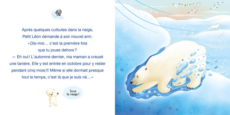 AUZOU | Livre - Petit Léon et l'ourson polaire