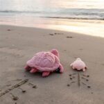 LES DÉGLINGOS | Les Ptipotos - Maman et bébé, Sauvenou la tortue - Rose