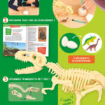 Auzou lab' | Je découvre les dinosaures